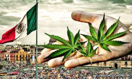 Mexico Moves To Legalize Cannabis