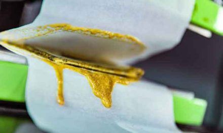 The History of Rosin