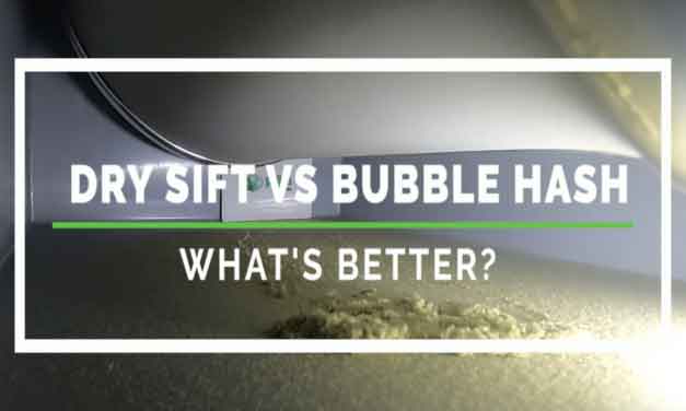 Dry Sift vs Bubble Hash