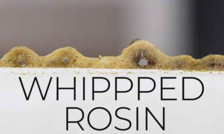 What is Whipped Buddha Rosin?