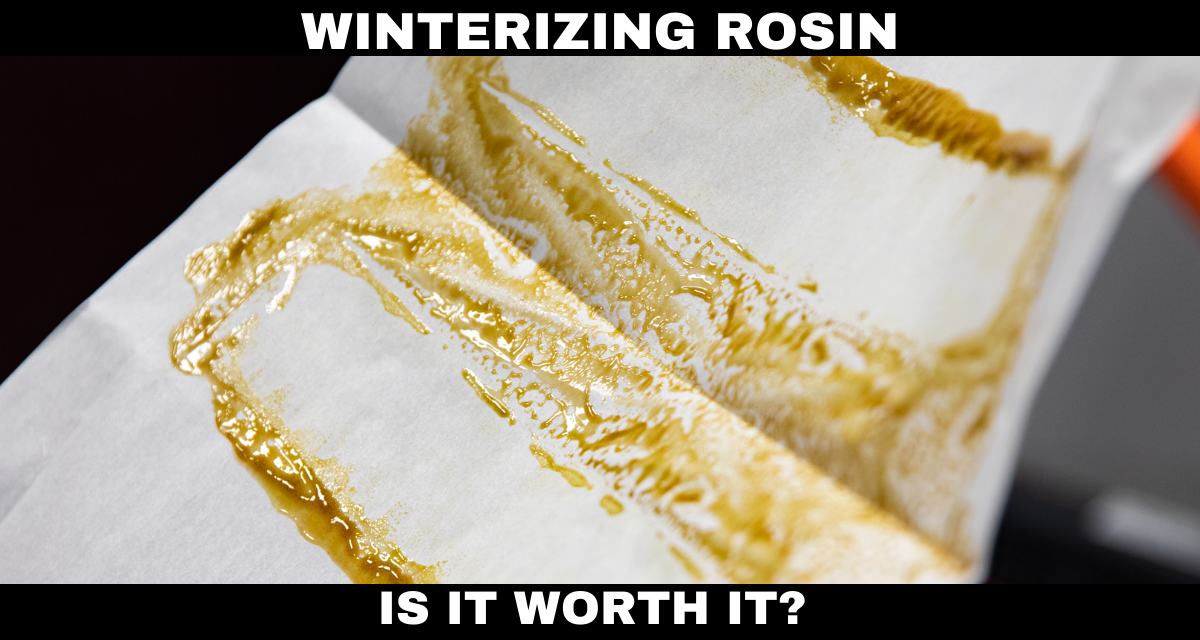 What’s the Point of Winterizing Rosin?