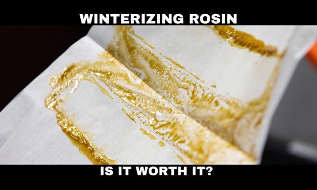 What’s the Point of Winterizing Rosin?