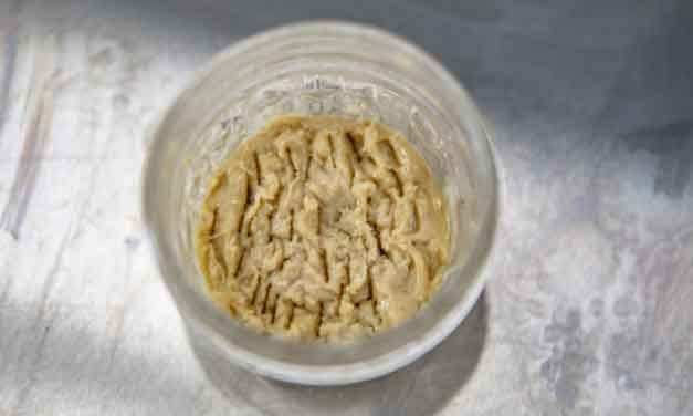 Storing Rosin: Glass vs Plastic Containers