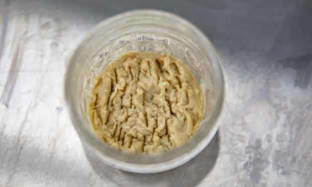 Storing Rosin: Glass vs Plastic Containers