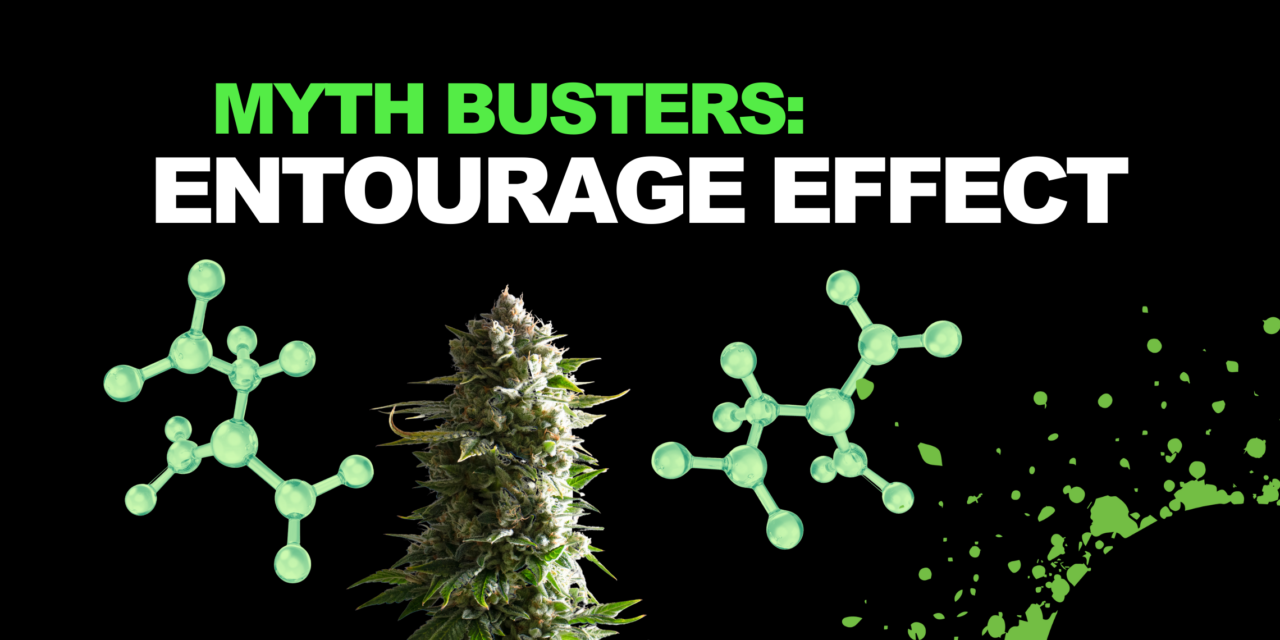 Myth Busters: Is The Entourage Effect Real?