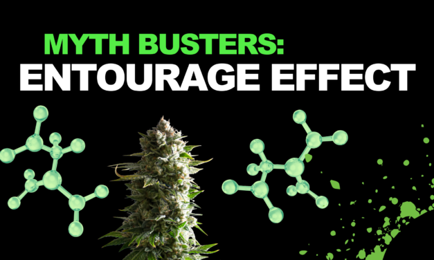 Myth Busters: Is The Entourage Effect Real?