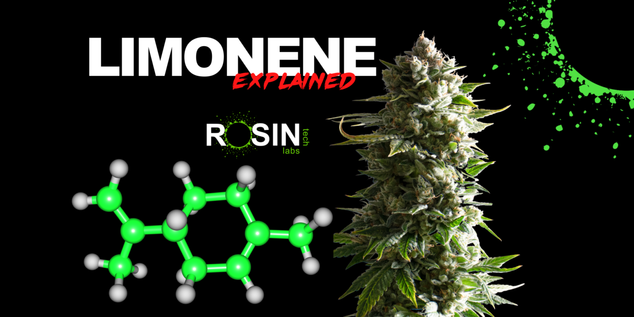 Terpenes 101: Limonene