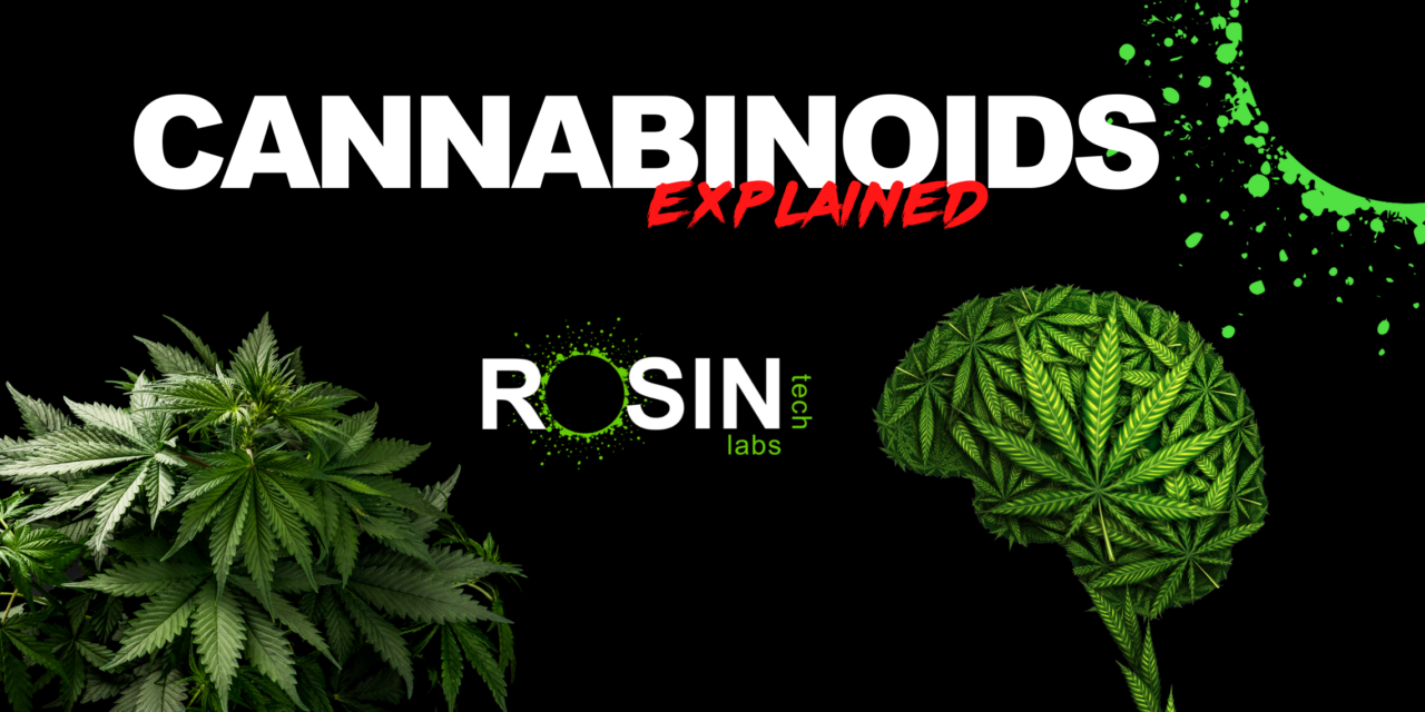 What are Cannabinoids?