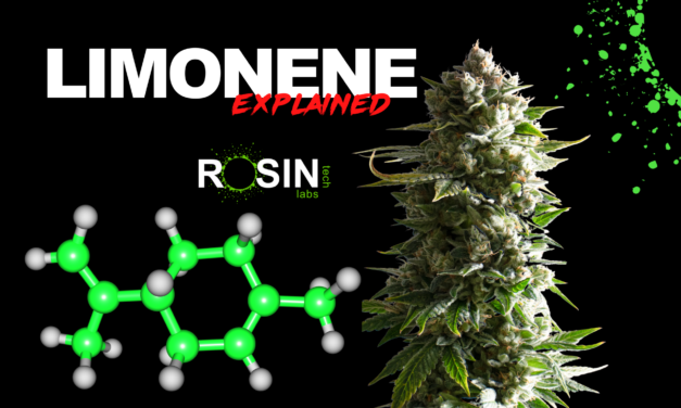 Terpenes 101: Limonene