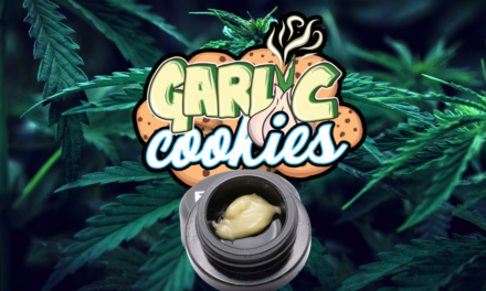 Garlic Cookies: Strain History and Information