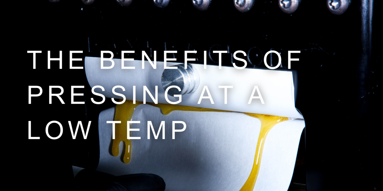 The Benefits of Pressing at a Low Temp