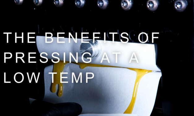 The Benefits of Pressing at a Low Temp